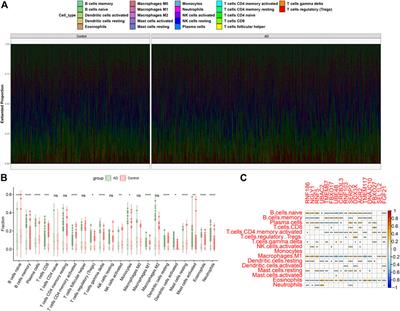 Identification of endoplasmic reticulum stress-associated genes and subtypes for prediction of Alzheimer’s disease based on interpretable machine learning